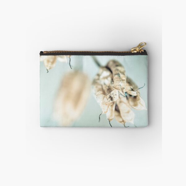 Item preview, Dried Aquilegia Seed Heads designed and sold by Richard Nixon.