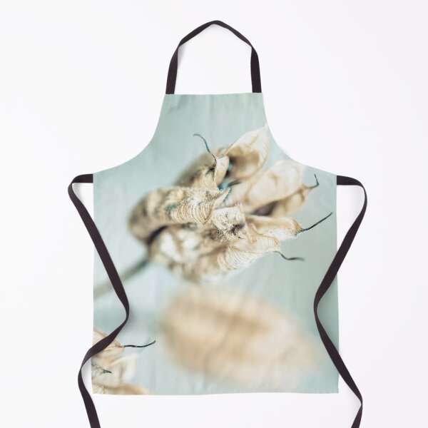 Item preview, Dried Aquilegia Seed Heads designed and sold by Richard Nixon.