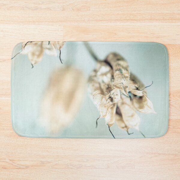 Item preview, Dried Aquilegia Seed Heads designed and sold by Richard Nixon.