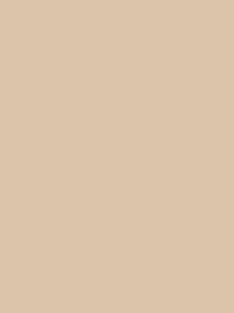 Light Beige - Soft Tan - Pastel Solid Color Parable to Behr Plateau  PPU4-08