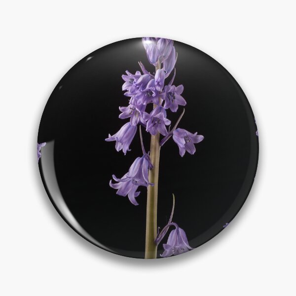 Item preview, Bluebell Trio designed and sold by Creative by Design.