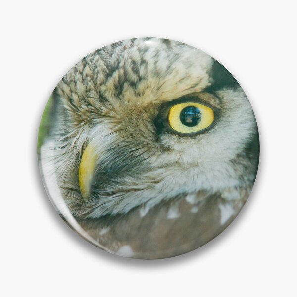 Item preview, Northern Hawk Owl designed and sold by Dominika Aniola.