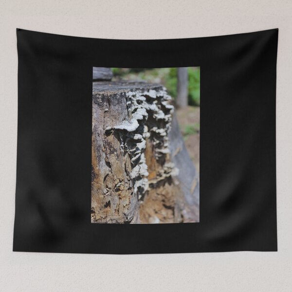 Item preview, Fungus moss designed and sold by Life-s-A-Hike.