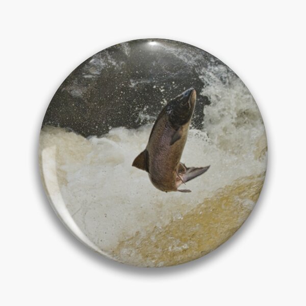 Item preview, Salmo the Leaper designed and sold by Derren Jones.
