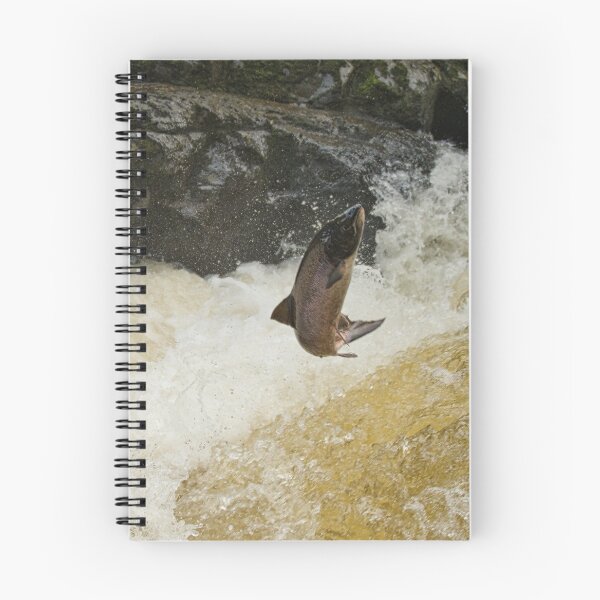 Item preview, Salmo the Leaper designed and sold by Derren Jones.