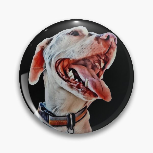 Item preview, Pitbull Shirt designed and sold by J+J Photography.