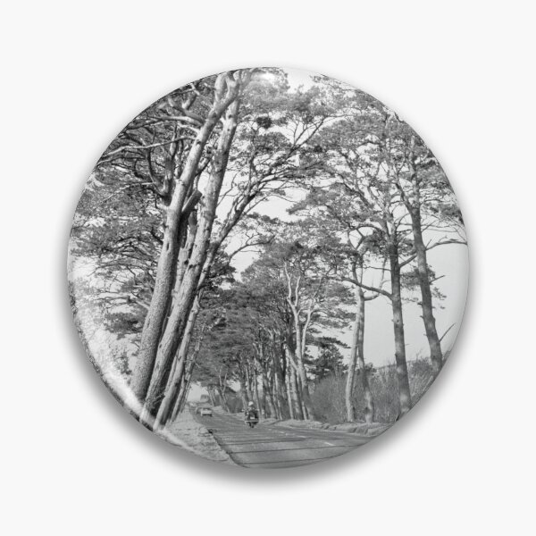 Item preview, Avenue of trees known as the Frosses in Co. Antrim designed and sold by joanshannon.