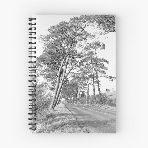 Item preview, Avenue of trees known as the Frosses in Co. Antrim designed and sold by joanshannon.