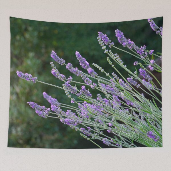 Item preview, Sweet Lavender Bouquet designed and sold by ALEX PHOTO DREAMS.