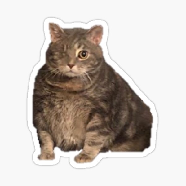 Little Cat Stickers Redbubble - deh epic cat god roblox