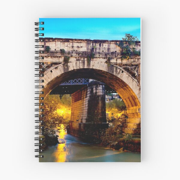 Item preview, Ponte Rotto designed and sold by troianifabrizio.