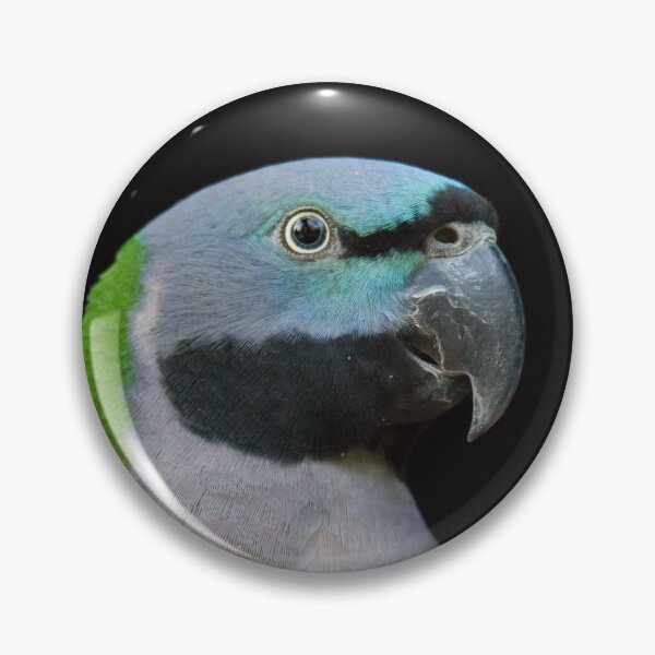 Item preview, Lord Derby's parakeet designed and sold by Dominika Aniola.
