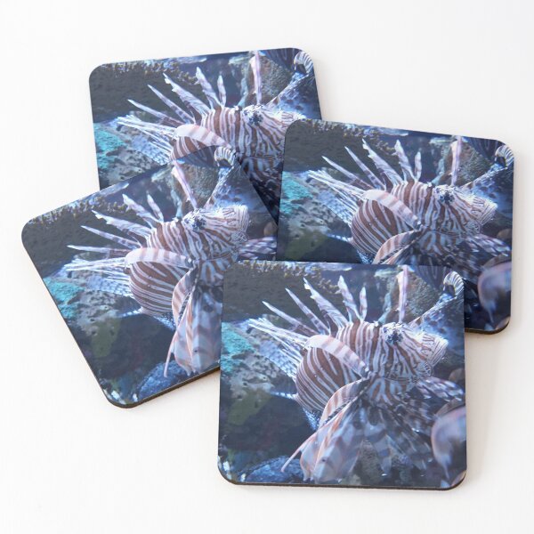Item preview, Zebra turkeyfish by Katy Christoff designed and sold by KatyChristoff.