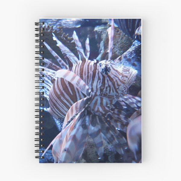 Item preview, Zebra turkeyfish by Katy Christoff  designed and sold by KatyChristoff.