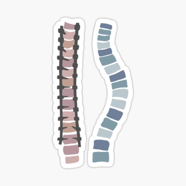 Item preview, Scoliosis Fused and Curvy Spine Sticker designed and sold by abbysbroadway.