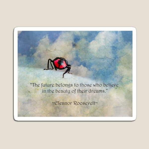 "The future belongs to those who believe in the beauty of their dreams" (Eleanor Roosevelt) ~ Inspirational Quotation ~ Magnet