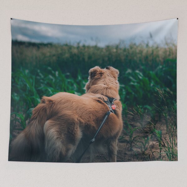 Item preview, field dog designed and sold by SherriMans.