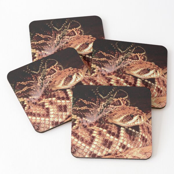 Item preview, Rattlesnakeready to strike photo by Katy Christoff  designed and sold by KatyChristoff.