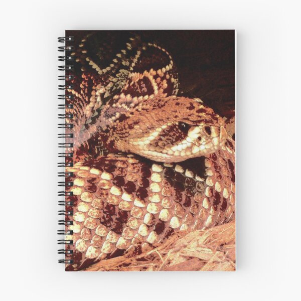 Item preview, Rattlesnakeready to strike photo by Katy Christoff  designed and sold by KatyChristoff.