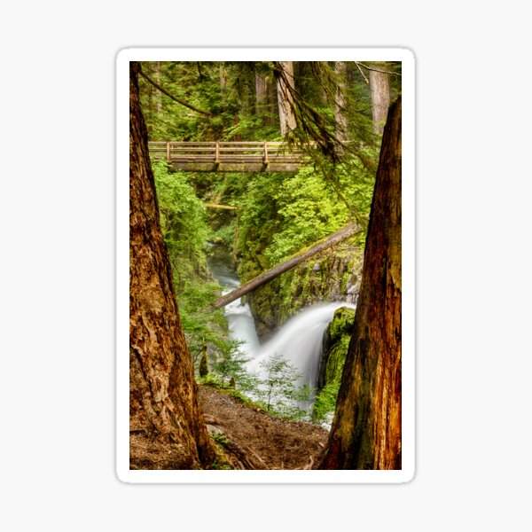 Between the Trees Sticker