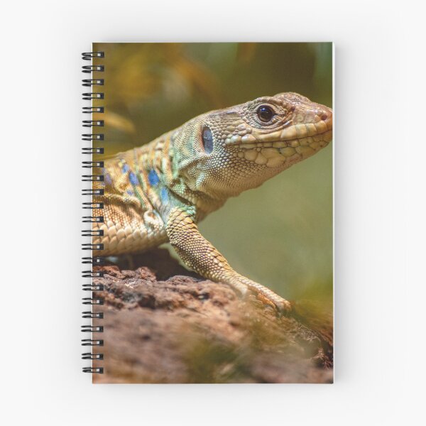 Item preview, Lizard In The Forest designed and sold by ChaseCoClothing.