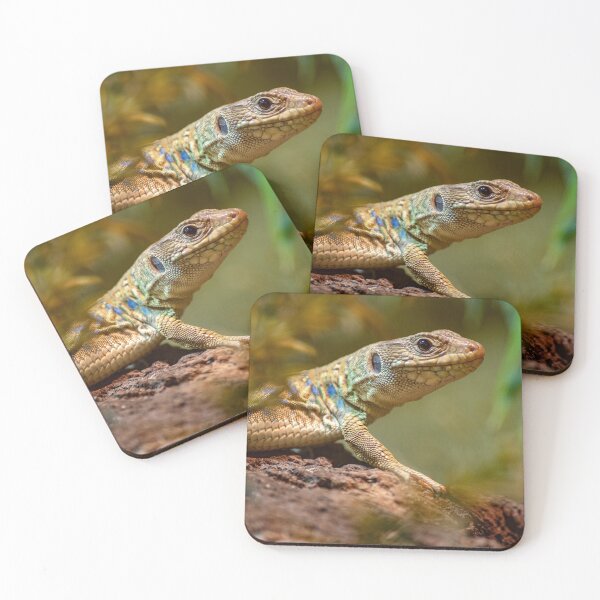Item preview, Lizard In The Forest designed and sold by ChaseCoClothing.