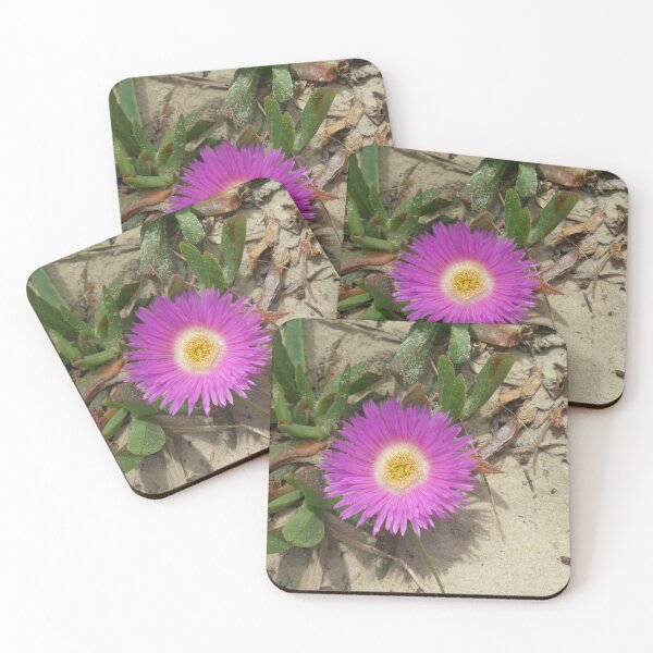 Item preview, Bright  pink beach succulent flower Australia designed and sold by NJH110.