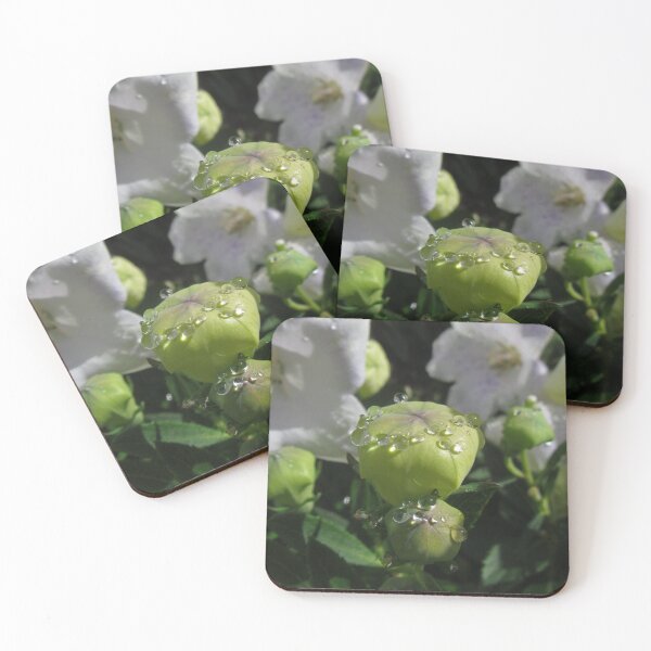 Item preview, Waterdrops on Platycodon Flowers designed and sold by Sirielle Art.