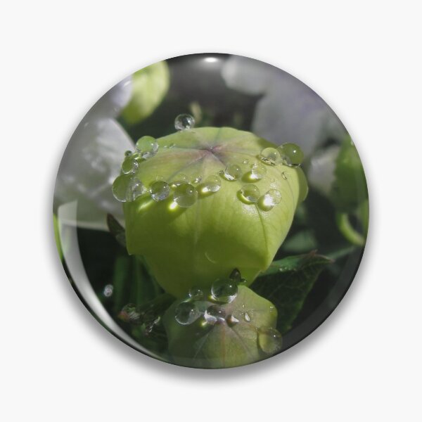 Item preview, Waterdrops on Platycodon Flowers designed and sold by Sirielle Art.