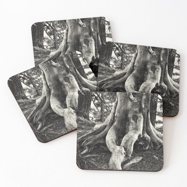 Item preview, Weatherworn designed and sold by YelloCoyote Photography.