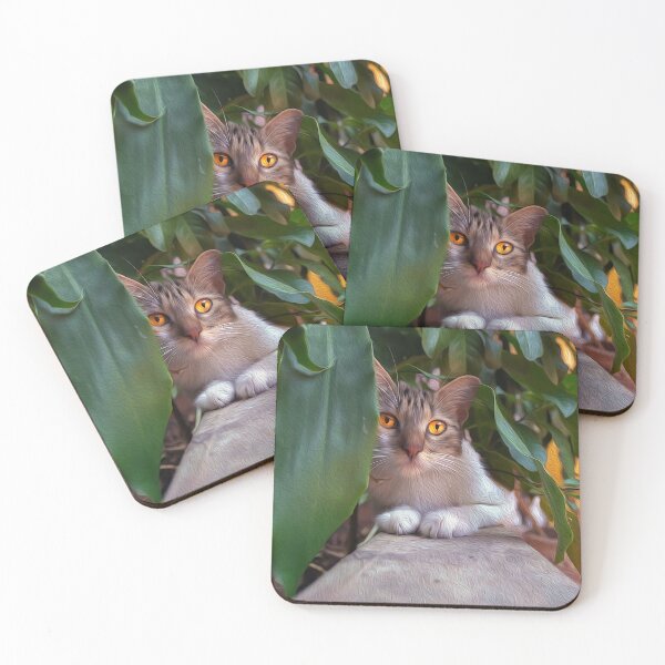Item preview, cute cat designed and sold by ricobarinas.