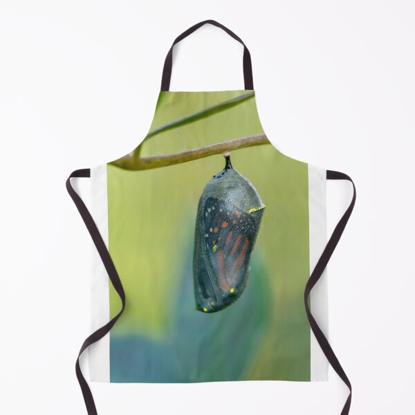Item preview, Monarch Butterfly Chrysalis in Transparent Stage designed and sold by Bonnie T.  Barry.