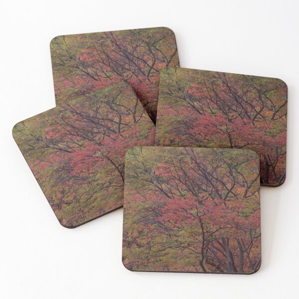 Item preview, Autumn Colours in Toronto, ON, Canada designed and sold by Gerda Grice Photography.