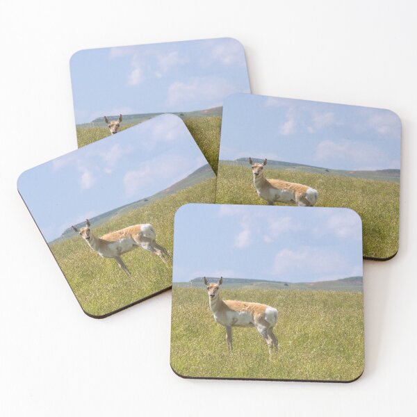 Item preview, Pronghorn designed and sold by YelloCoyote Photography.