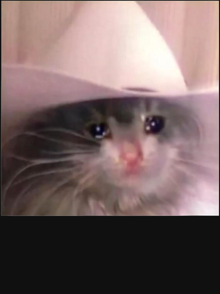 Sad Cat Cowboy Hat Sad Cat Cowboy Hat