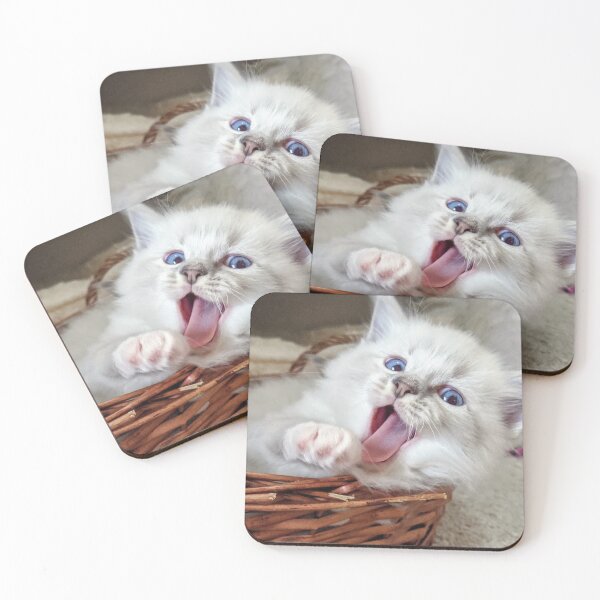 Item preview, Ragdoll kitten yawn! designed and sold by Fluffycat2020.