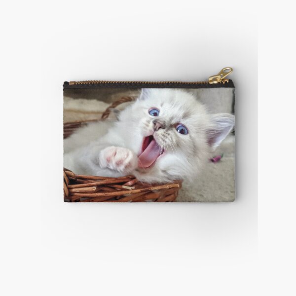 Item preview, Ragdoll kitten yawn! designed and sold by Fluffycat2020.