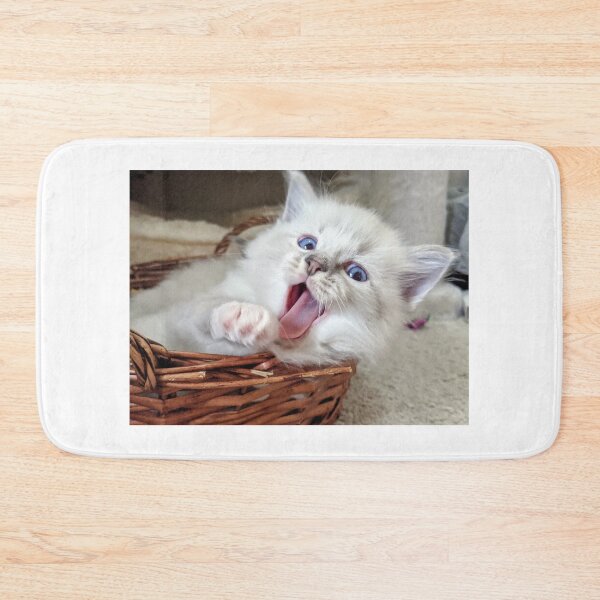 Item preview, Ragdoll kitten yawn! designed and sold by Fluffycat2020.