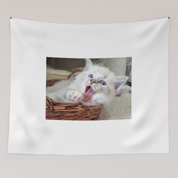 Item preview, Ragdoll kitten yawn! designed and sold by Fluffycat2020.