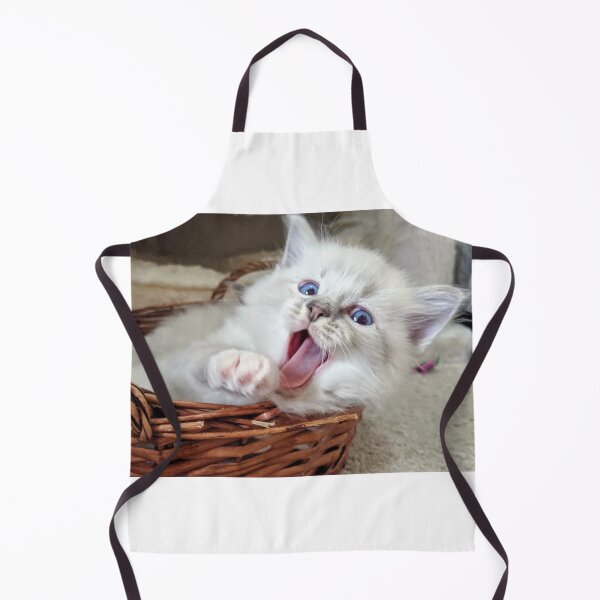Item preview, Ragdoll kitten yawn! designed and sold by Fluffycat2020.