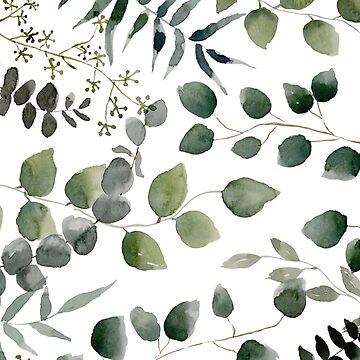 Artwork thumbnail, Eucalyptus Multi by aliawallco