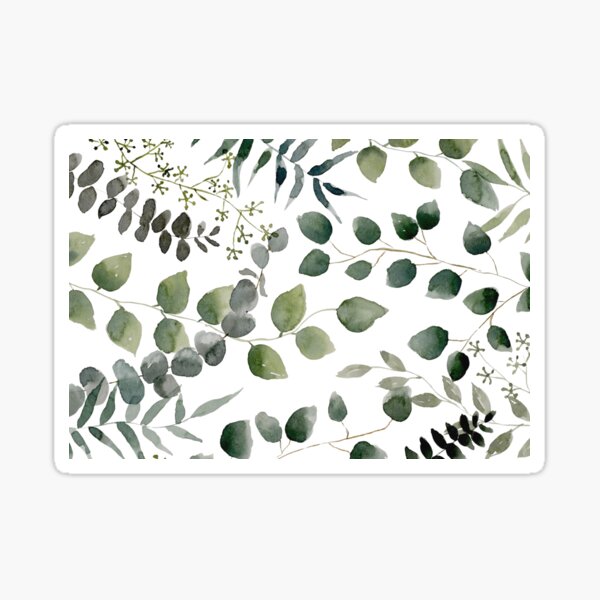 Eucalyptus Multi Sticker