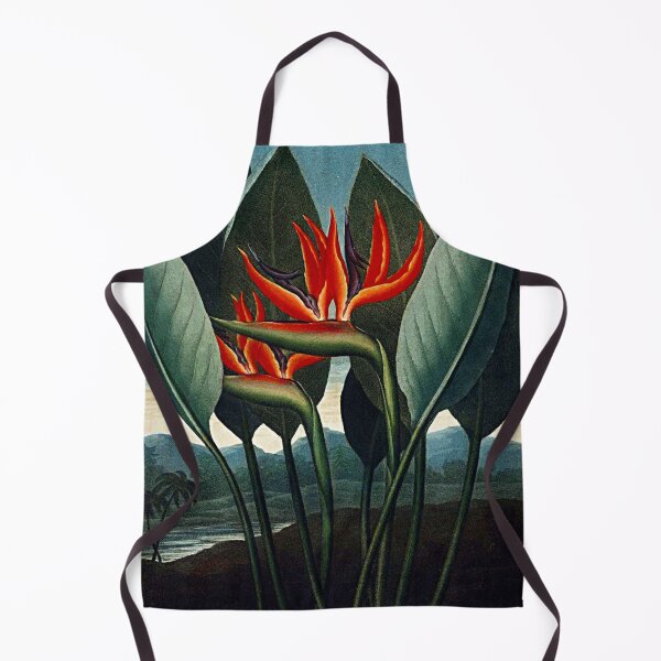 Item preview, Botanical Art The Bird Of Paradise designed and sold by JoolyA.