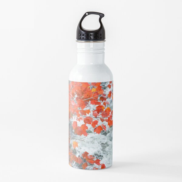 Autumn Fire Water Bottle