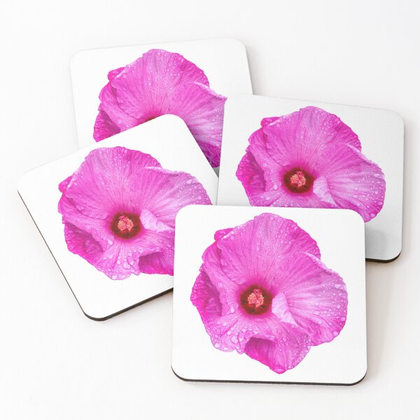 Item preview, Isolated Hibiscus 2020-4 designed and sold by Thomasyoung.