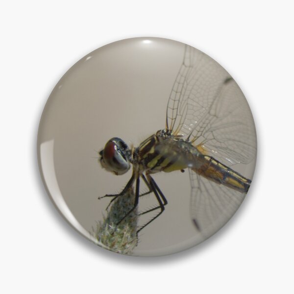 Item preview, Blue Dasher Dragonfly designed and sold by rodmacpherson.