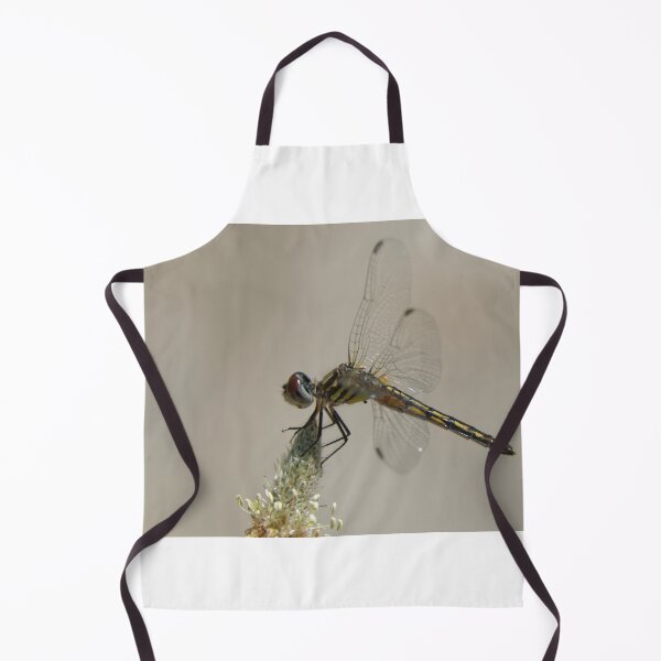 Item preview, Blue Dasher Dragonfly designed and sold by rodmacpherson.