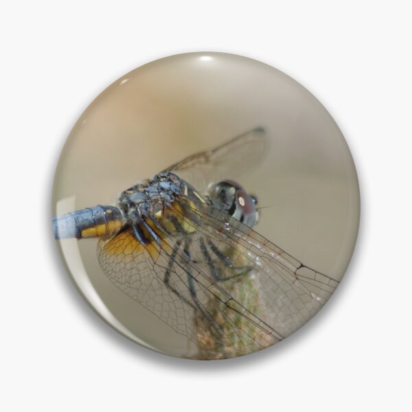 Item preview, Blue Dasher Dragonfly designed and sold by rodmacpherson.