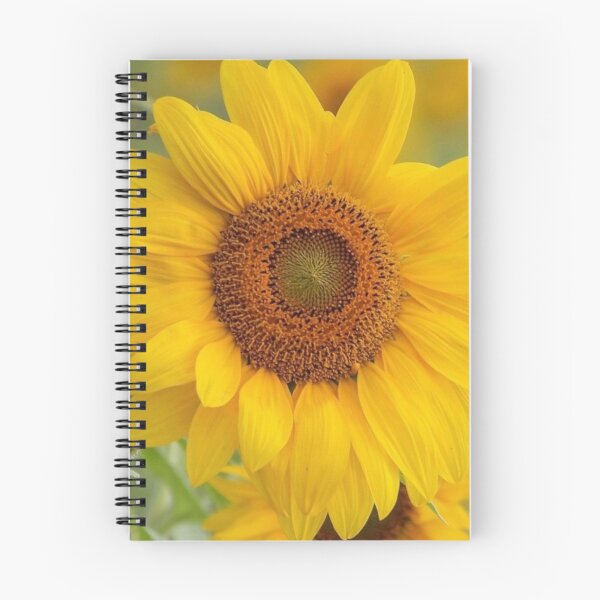 Artikelvorschau, glänzende gelbe Blume als Geschenk angeboten. entworfen und verkauft von Vanchys.