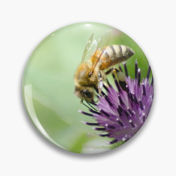 Item preview, A Western Honey Bee (Apis mellifera) on a thistle designed and sold by rodmacpherson.